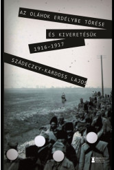 Az oláhok Erdélybe törése és kiveretésük 1916–17.