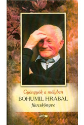 Gyöngyök a mélyben /Bohumil Hrabal föveskönyve