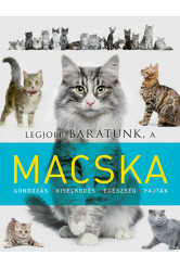 Legjobb barátunk a macska - Legjobb barátunk...