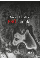 Esőcsinálás
