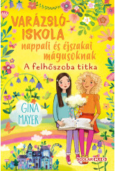 A felhőszoba titka - Varázslóiskola nappali és éjszakai mágusoknak 2.