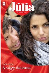 Júlia 497. (e-könyv)
