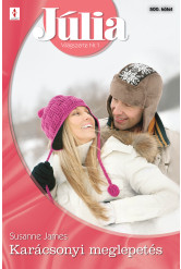 Júlia 500. (e-könyv)