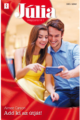 Júlia 563. (e-könyv)