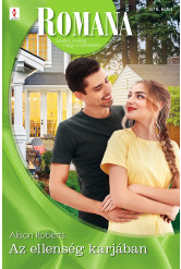 Romana 678. (e-könyv)