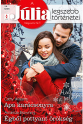 A Júlia legszebb történetei 25. kötet (Hull a pelyhes) (e-könyv)