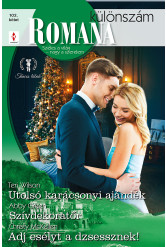 Romana különszám 102. (e-könyv)