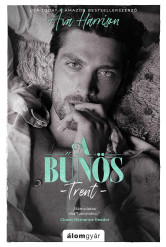 A bűnös  (e-könyv)