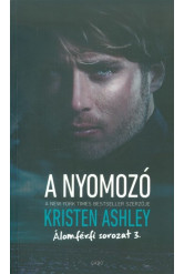 A nyomozó /Álomférfi sorozat 3.