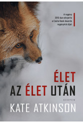 Élet az élet után