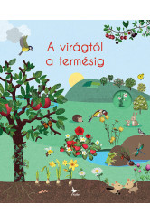 A virágtól a termésig - A természet körforgása
