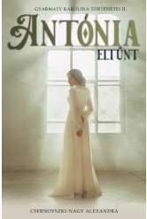 Antónia eltűnt - Gyarmaty Karolina történetei II.