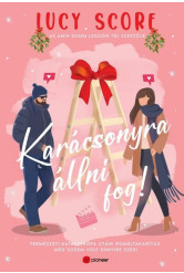 Karácsonyra állni fog! - Természeti katasztrófa utáni romeltakarítás még sosem volt ennyire szexi
