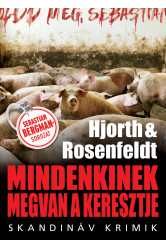 Mindenkinek megvan a keresztje - Skandináv krimik (e-könyv)