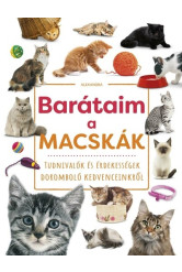 Barátaim, a macskák