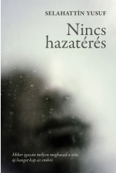 Nincs hazatérés (e-könyv)
