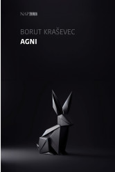 Agni (e-könyv)