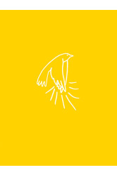 A madarak tapsolnak, amikor felszállnak - Szemlélődési példagyűjtemény