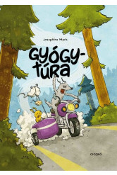 Gyógytúra (képregény)
