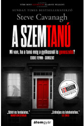 A szemtanú - Eddie Flynn-sorozat 8.